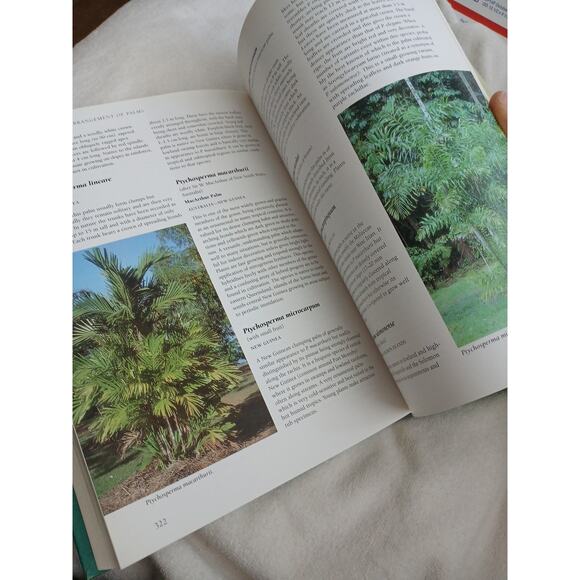 Palms Throughout the World David L. Jones 1995 Hardcover Dust Jacket Like New - Picture 12 of 16